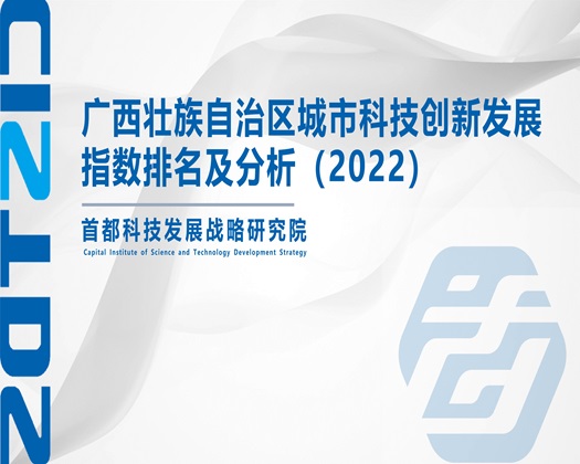 插小嫩逼逼【成果发布】广西壮族自治区城市科技创新发展指数排名及分析（2022）